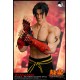 Tekken 6 MX Format Figure Statue 1/4 Jin Kazama 53 cm